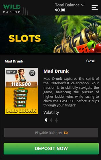 hot roller casinos|Best High Roller Online Casinos in Apr 2024 .